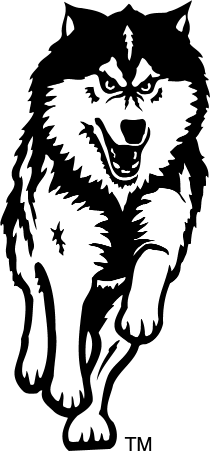Northern Illinois Huskies 1988-2001 Secondary Logo diy iron on heat transfer